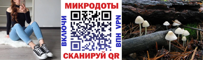 Купить закладки  Лагань  Галлюциногенные грибы Cubensis 
